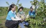 Hội viên phụ nữ xã Nghĩa Đàn vươn lên khẳng định  mình từ những phong trào thiết thực